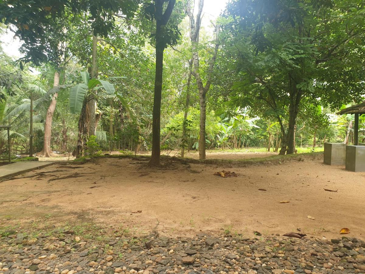 Jungle House Villa Udawalawe Exterior photo