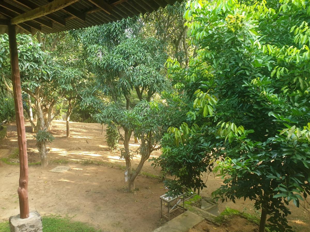 Jungle House Villa Udawalawe Exterior photo