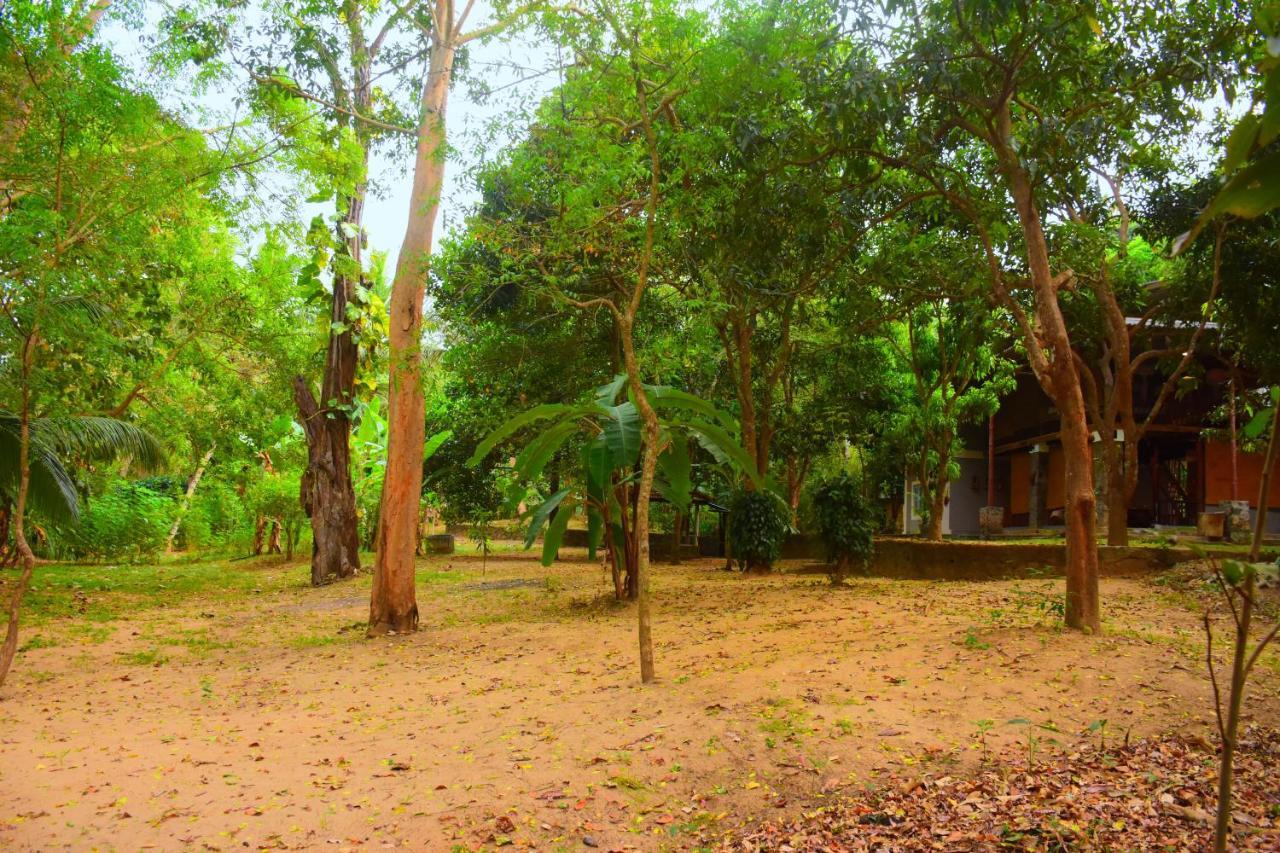 Jungle House Villa Udawalawe Exterior photo