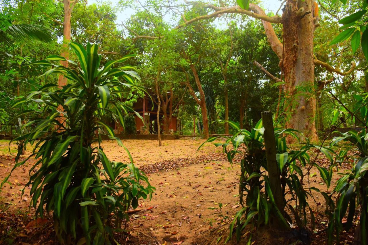 Jungle House Villa Udawalawe Exterior photo